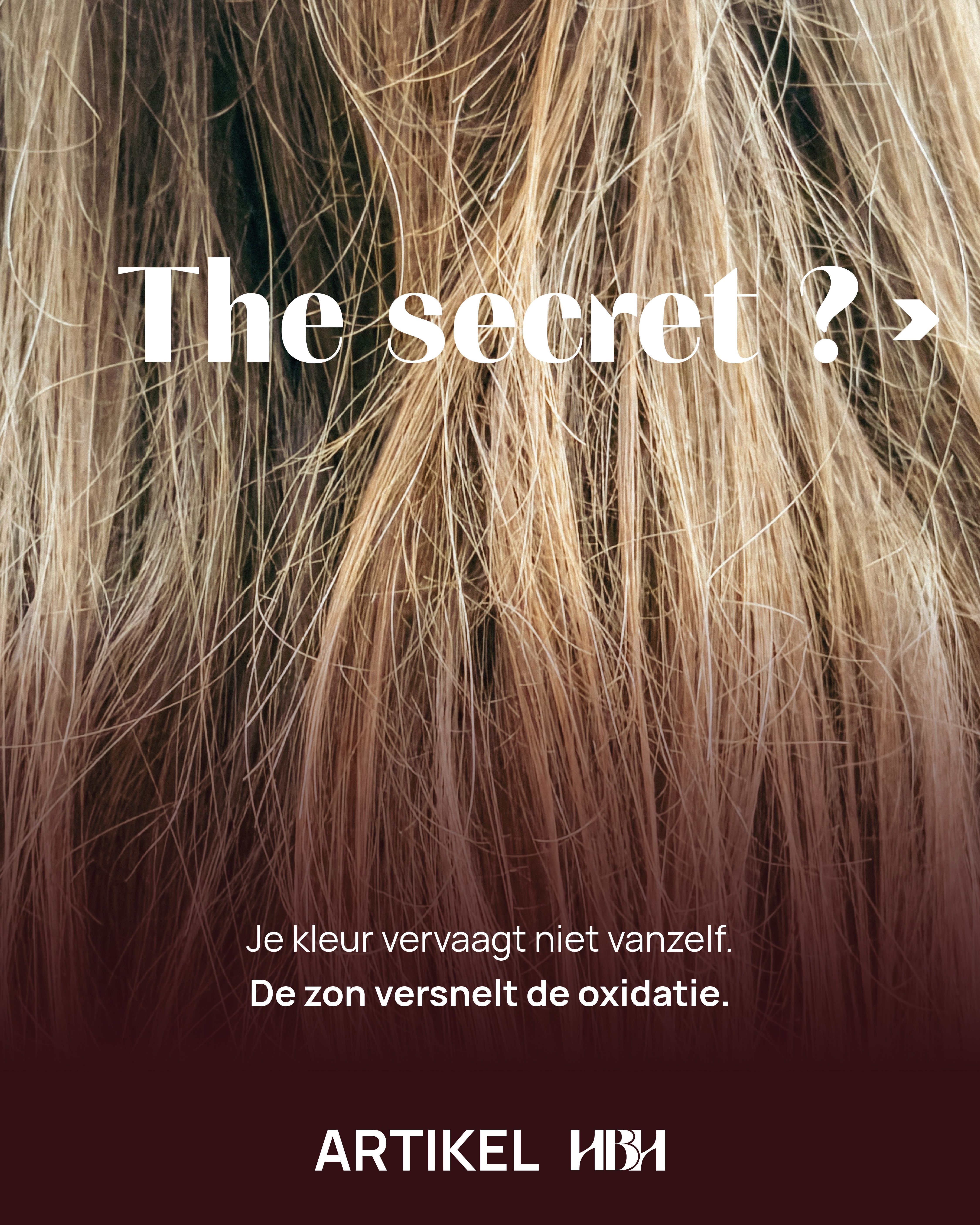 0707_2026_HBH_Article_NL4.jpeg